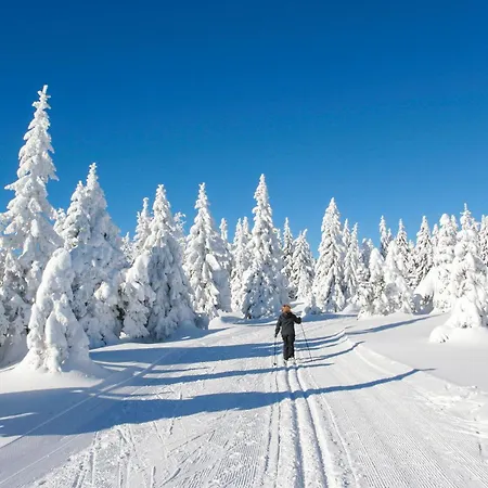 Ferienhauspark Nyaraló