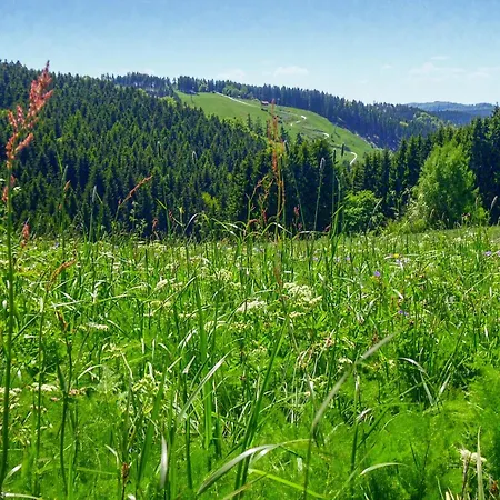 Nyaraló Ferienhauspark